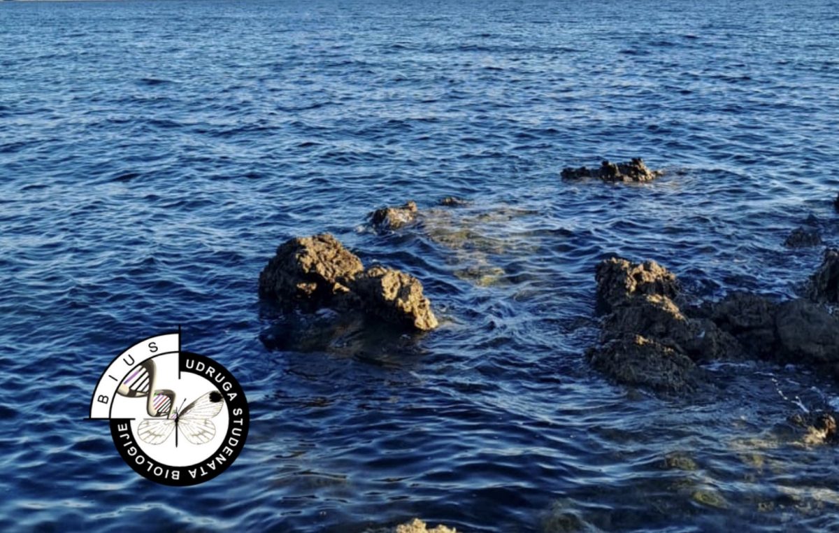 Gotovo stotinu studenata biologije stiže na istraživačko-edukacijski projekt “Bodulija 2026”