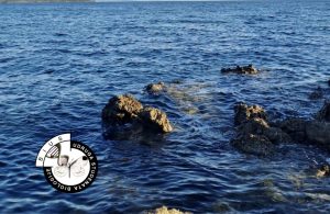 Gotovo stotinu studenata biologije stiže na istraživačko-edukacijski projekt “Bodulija 2026”