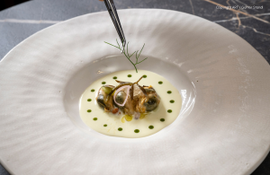 Kvarner na tanjuru: Deni Srdoč i Marin Pleše udružuju snage u Restoranu Vila Rova