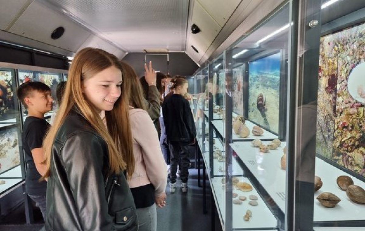 Pokretna izložba „Blago jadranskog podmorja“ stiže na otok Krk