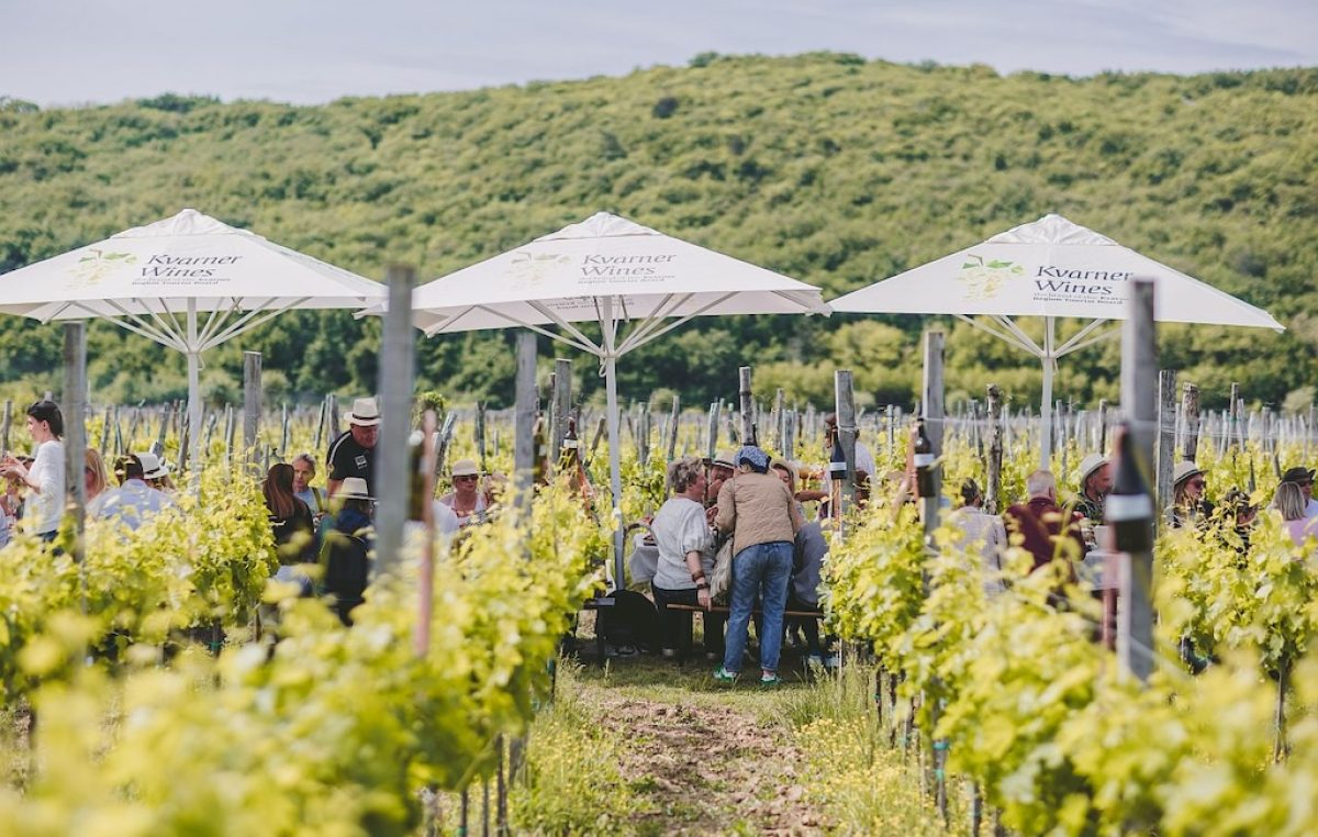 [FOTO] Sasvim posebna nedjelja u Vrbniku: Održan prvi “Doručak u vinogradu”