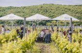 [FOTO] Sasvim posebna nedjelja u Vrbniku: Održan prvi “Doručak u vinogradu”