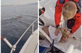 [VIDEO] Srndać se skoro utopio između Crikvenice i Šila, spasili ga dobri ljudi
