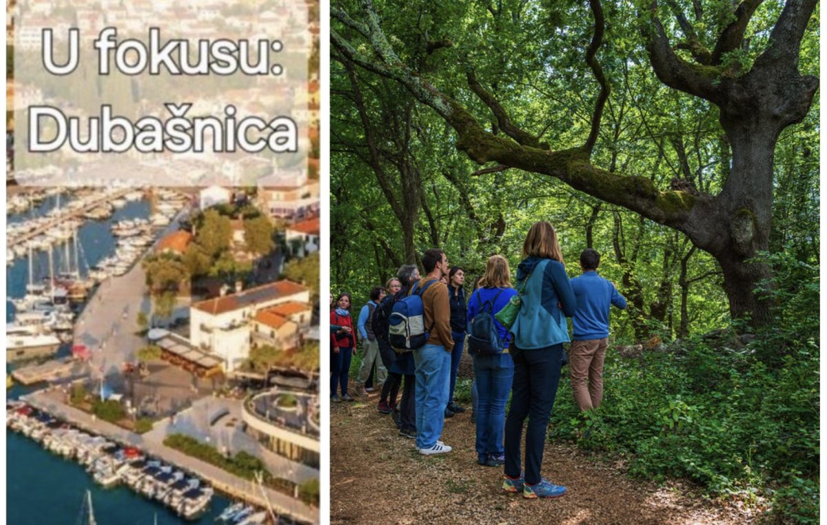 Javni prekogranični događaj projekta FoRESisT okupio stručnjake, umjetnike i lokalnu zajednicu