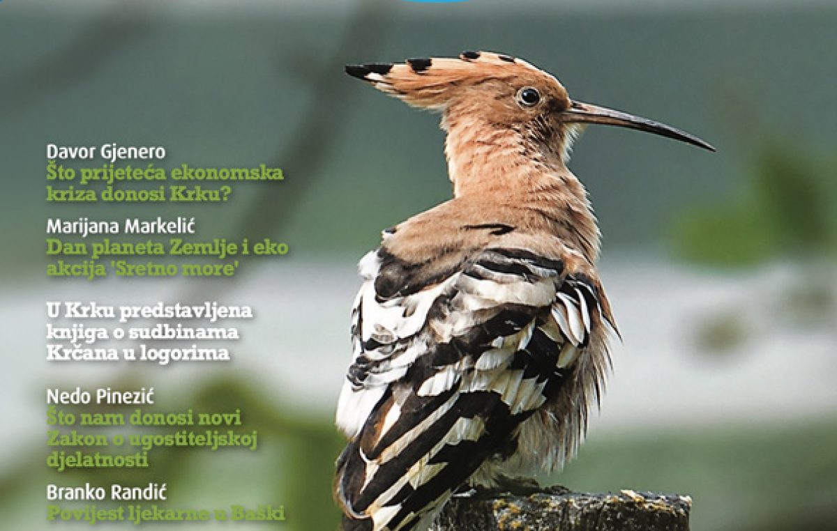 Krčki val u novom broju donosi…