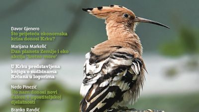 Krčki val u novom broju donosi…