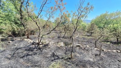 Na području Šila planuo požar, izgorjelo preko 5000 četvornih metara raslinja