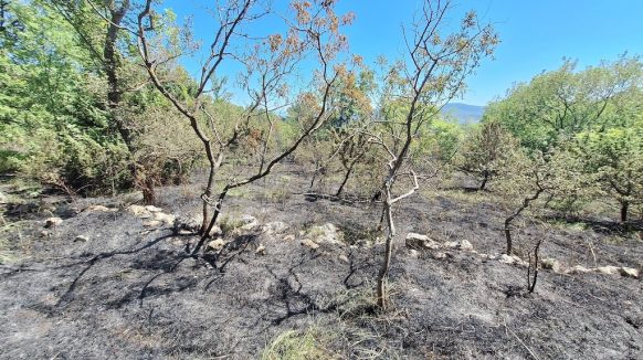 Na području Šila planuo požar, izgorjelo preko 5000 četvornih metara raslinja