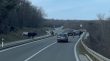 Oprez, životinje na cesti: Na Krku nastradalo tele, ali i srne i divlje svinje