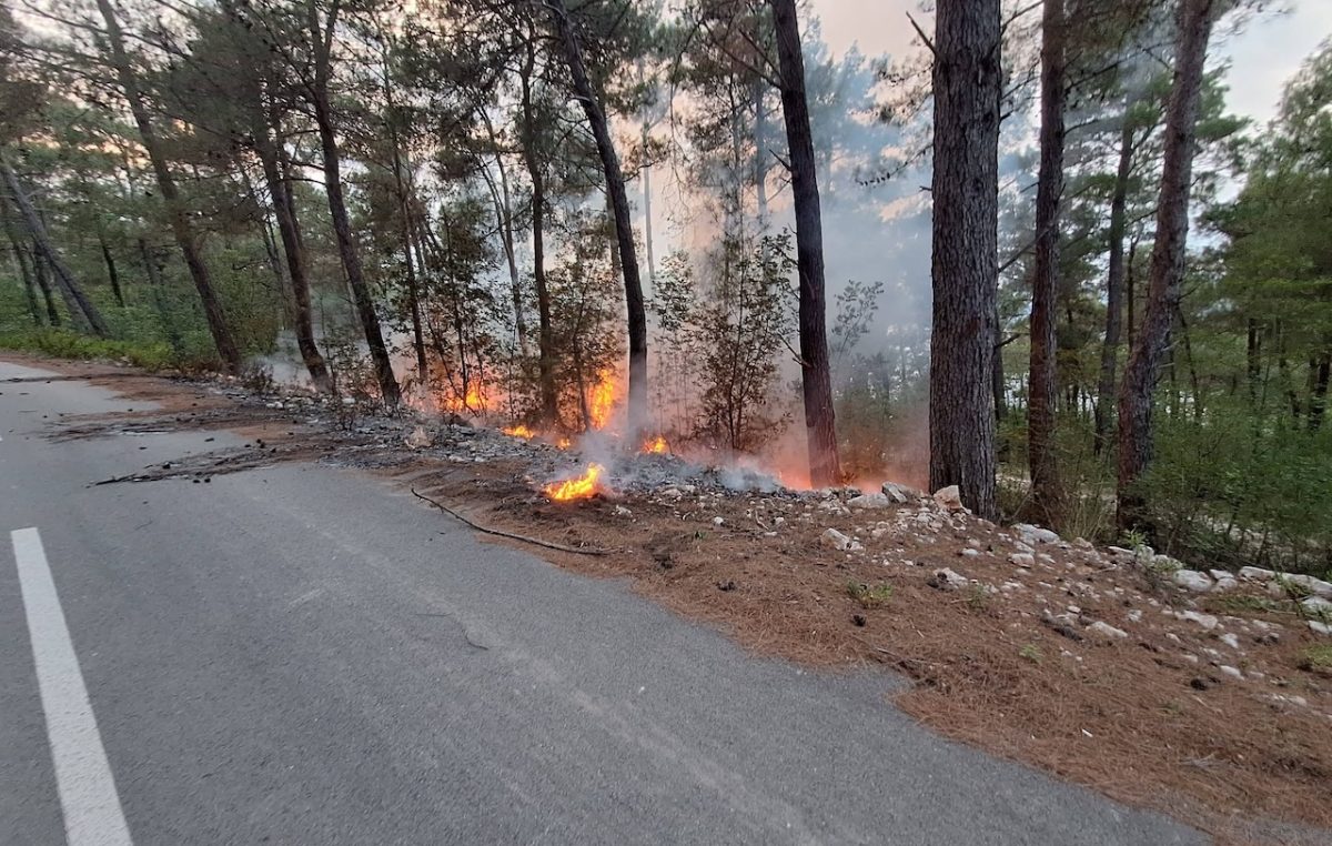 Između Klimna i Šila planuo požar
