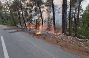 Između Klimna i Šila planuo požar
