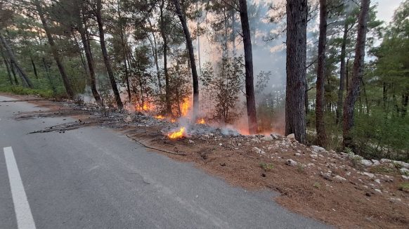 Između Klimna i Šila planuo požar
