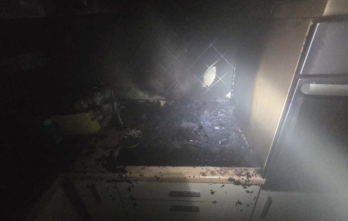 U stanu na području Krka planuo požar