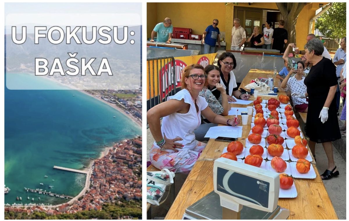 Zlatni pomidor 2026 pripao Miji Stanković – najveći kapitalac imao je čak 1252 grama!