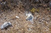 “Ogromna opasnost za otok”: Krčki cestari naišli na iznimno opasnu situaciju pa uputili apel građanima