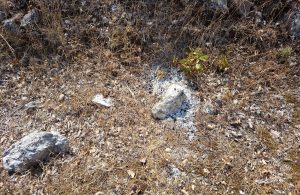 “Ogromna opasnost za otok”: Krčki cestari naišli na iznimno opasnu situaciju pa uputili apel građanima