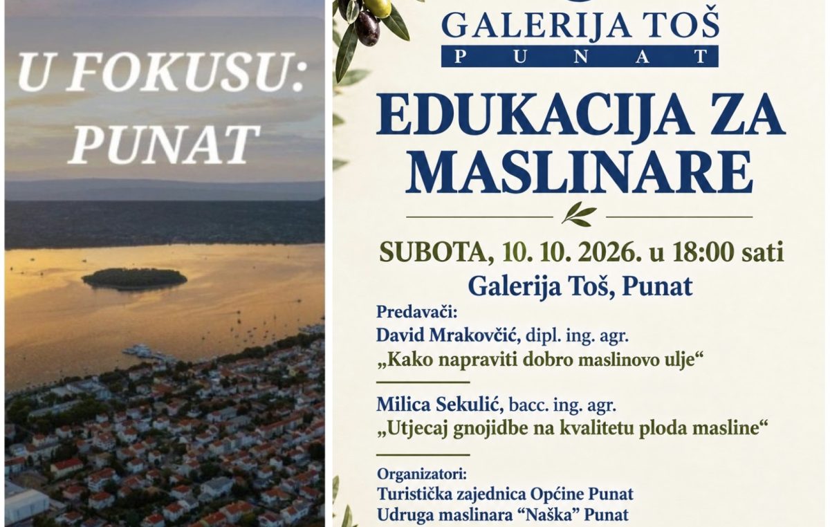 Edukacija za maslinare u Puntu