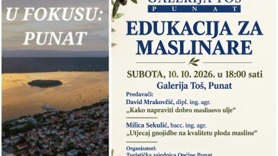Edukacija za maslinare u Puntu