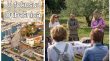 Jesen u Malinskoj: Olive Touch, outdoor avanture i Mjesec smijeha