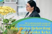 Bogatstvo ljekovitog bilja otoka Krka: od tradicionalnih znanja do suvremenih mogućnosti