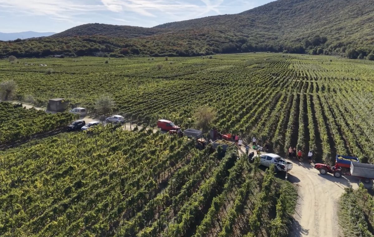 KVARNER WINES STORY: Jedanaest vinara, jedanaest životnih priča i jedan Kvarner koji vjeruje u svoju budućnost