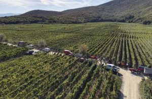 KVARNER WINES STORY: Jedanaest vinara, jedanaest životnih priča i jedan Kvarner koji vjeruje u svoju budućnost