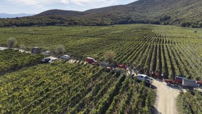 KVARNER WINES STORY: Jedanaest vinara, jedanaest životnih priča i jedan Kvarner koji vjeruje u svoju budućnost
