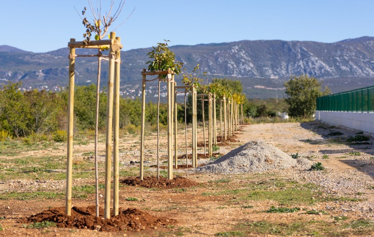 U Omišlju posađeno 10 novih stabala u sklopu projekta „Hrvatska prirodno tvoja”