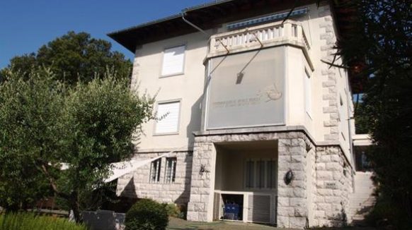 Veliko priznanje: Dr. sc. Marcelo Kovačić iz Prirodoslovnog muzeja Rijeka ponovno među najutjecajnijim znanstvenicima svijeta